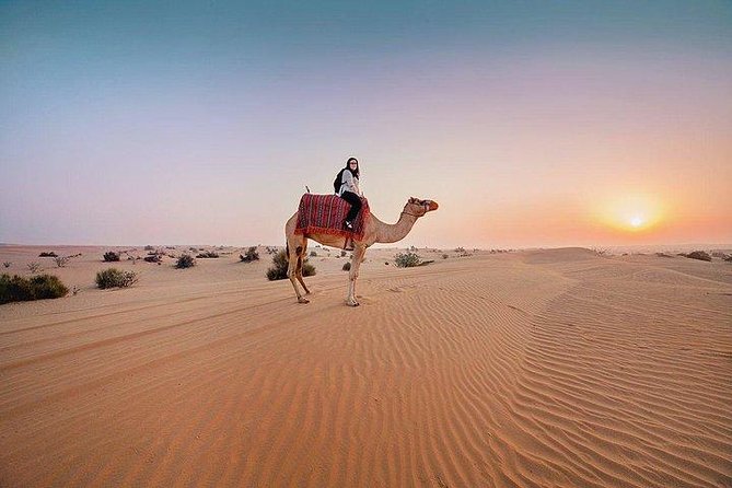 Private Morning Desert Safari Dubai With Dune Bashing & Sandboard - The Ultimate Morning Desert Adventure