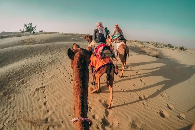 Desert Safari With BBQ Dinner, Quad Bike and Camel Ride Experience From Dubai - Door-To-Door Convenience: Transfers From Any Location in Dubai