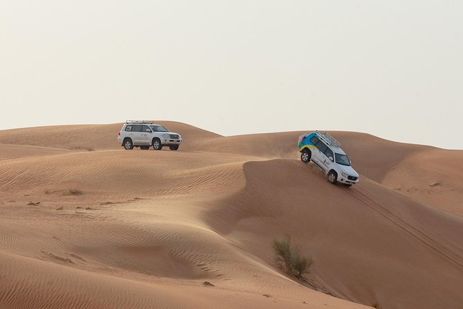 Dubai Desert 4x4 Safari With BBQ Dinner, Camel Ride,Sand Boarding - Conquer the Sand Dunes With Sandboarding