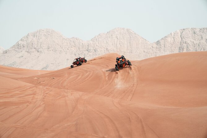 Dubai Desert Dune Buggy Fossil Rock Tour (No Transfers) - Captivating Traveler Photos