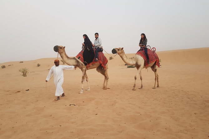 Private Desert Safari With Camel Ride and BBQ in Dubai - Captivating Sunset Views in Dubai
