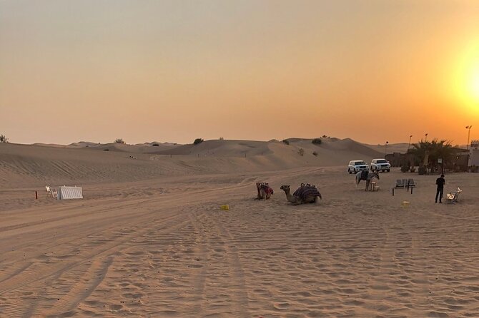 Exhilarating Desert Safari, Including BBQ Dinner From Dubai - Rave Reviews: Unforgettable Experiences and Positive Feedback
