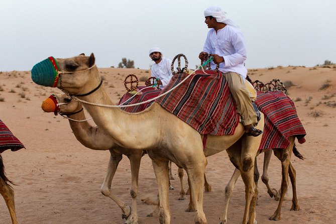 Camel Desert Safari With Traditional Dinner & Heritage Activities From Dubai - Witness the Majestic Falconry Display in the Desert